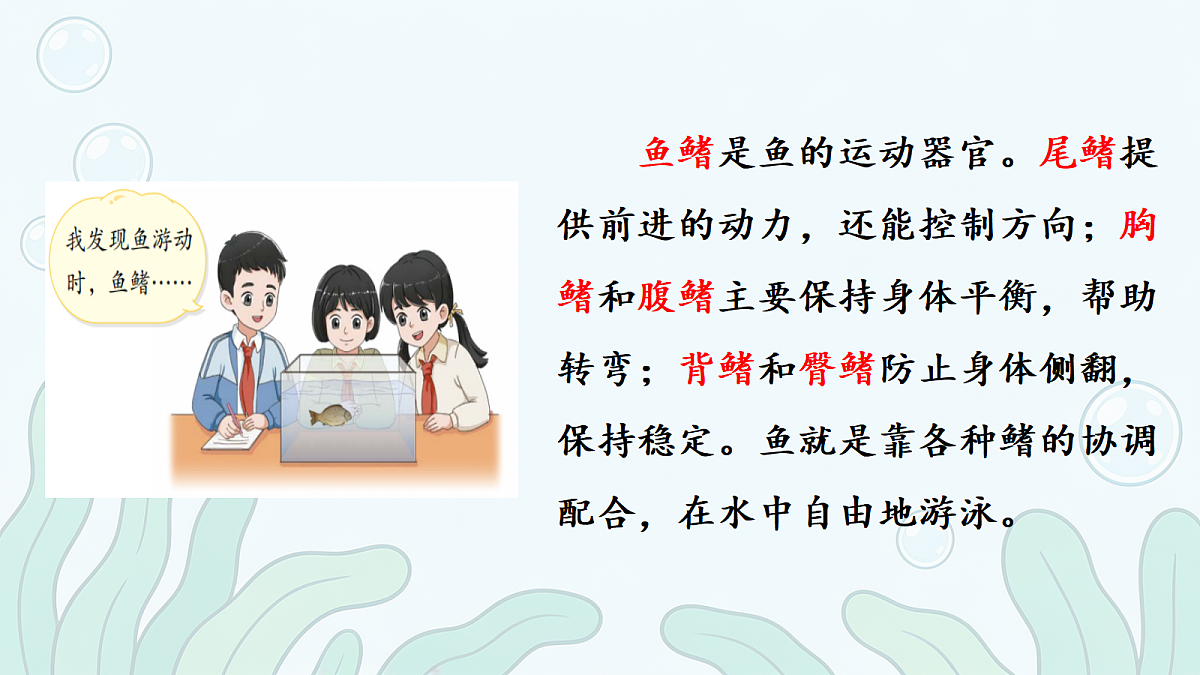 18686043第5页