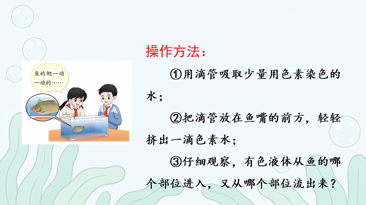 18686043第6页