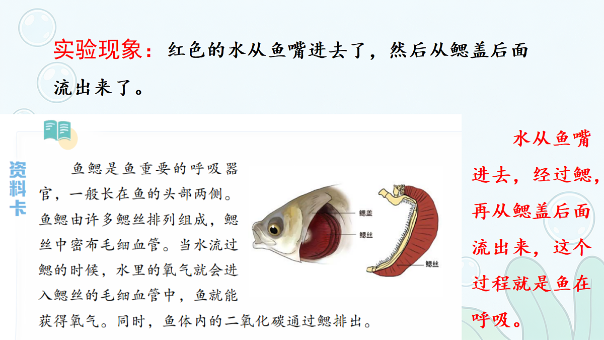 18686043第8页