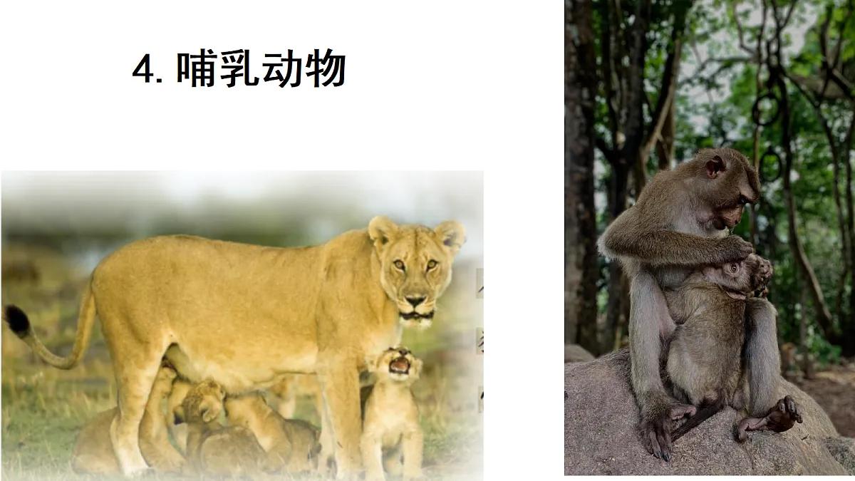 18686047第1页