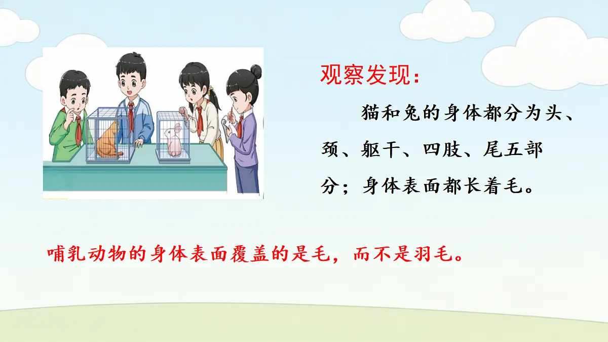 18686047第3页