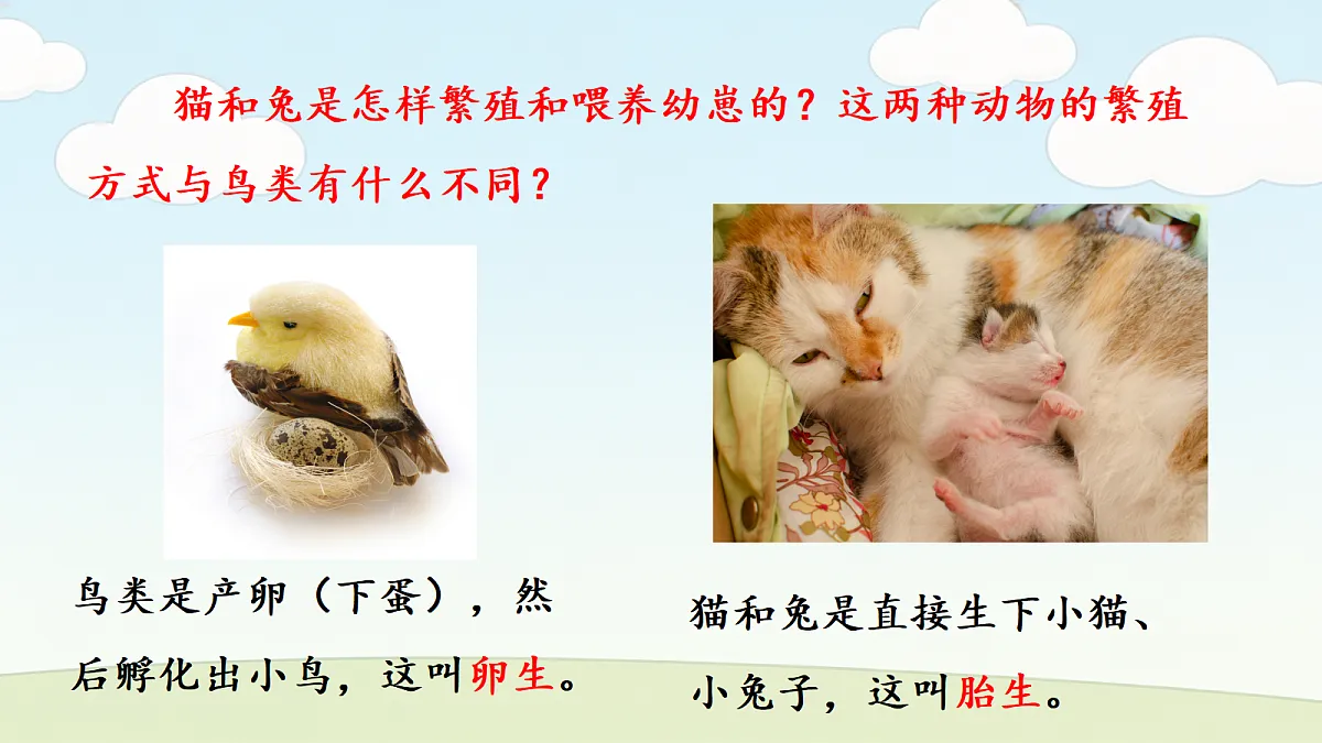 18686047第4页