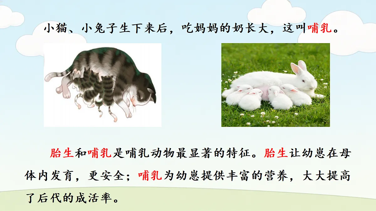 18686047第5页