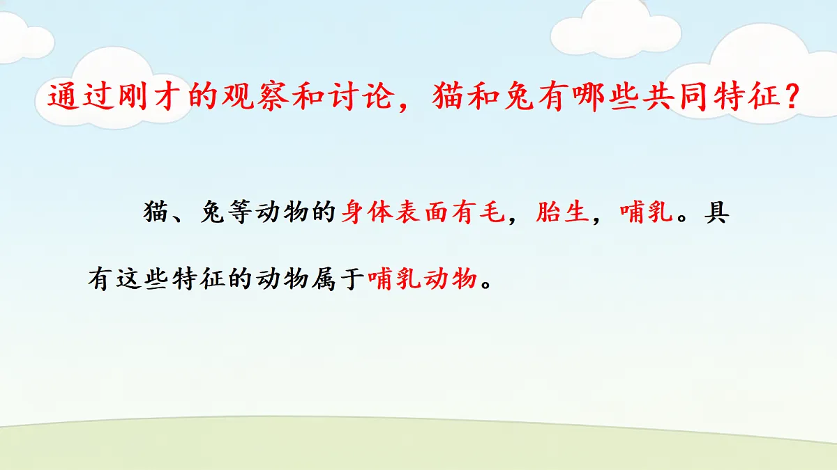 18686047第6页