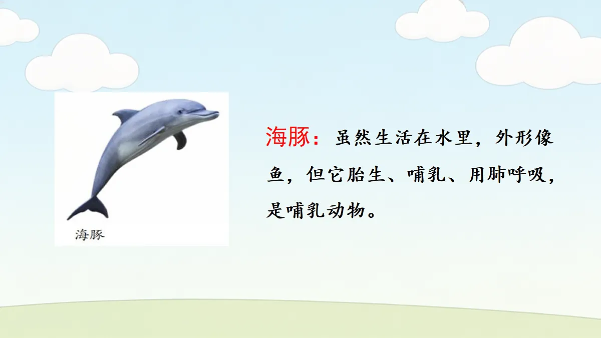 18686047第7页