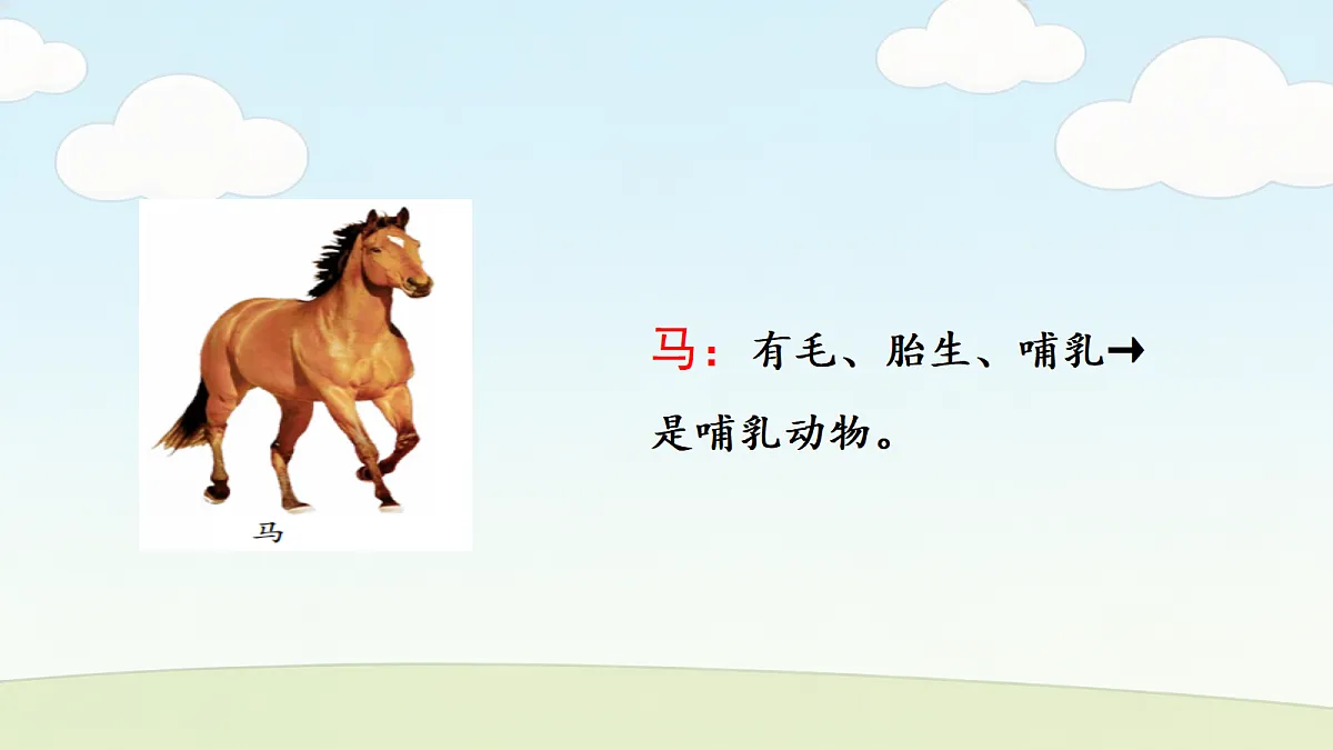 18686047第8页