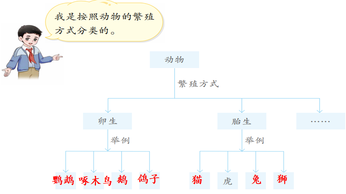 18686049第6页