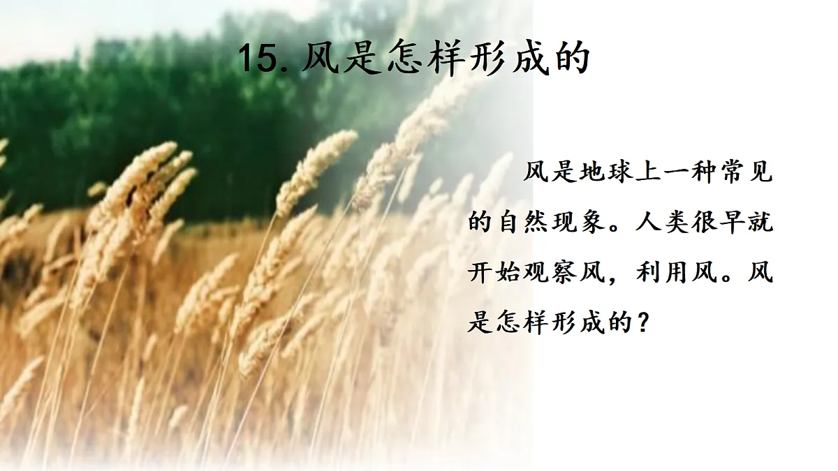 18686268第1页