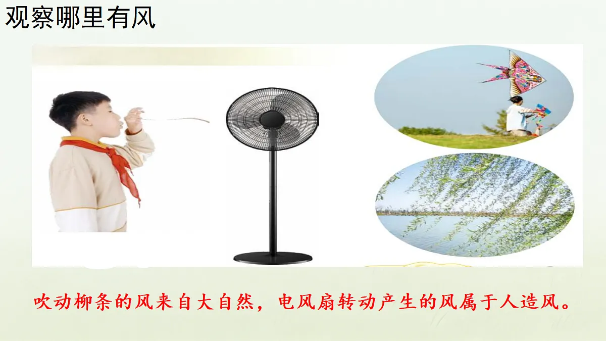 18686268第2页