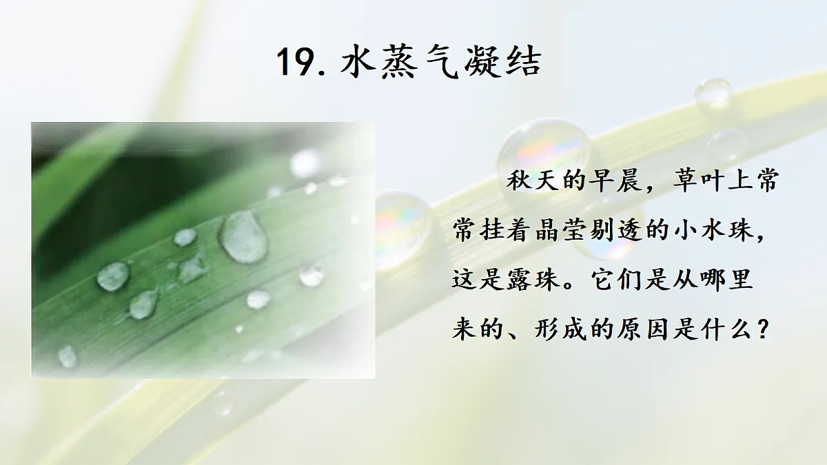 18686276第1页