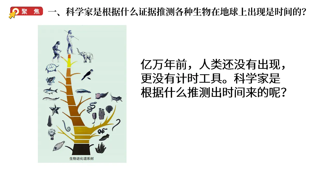 4.7《时间与变化》第2页