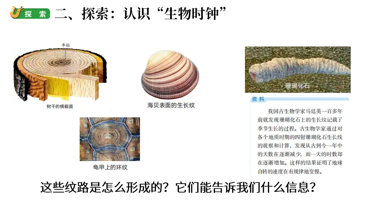 4.7《时间与变化》第3页