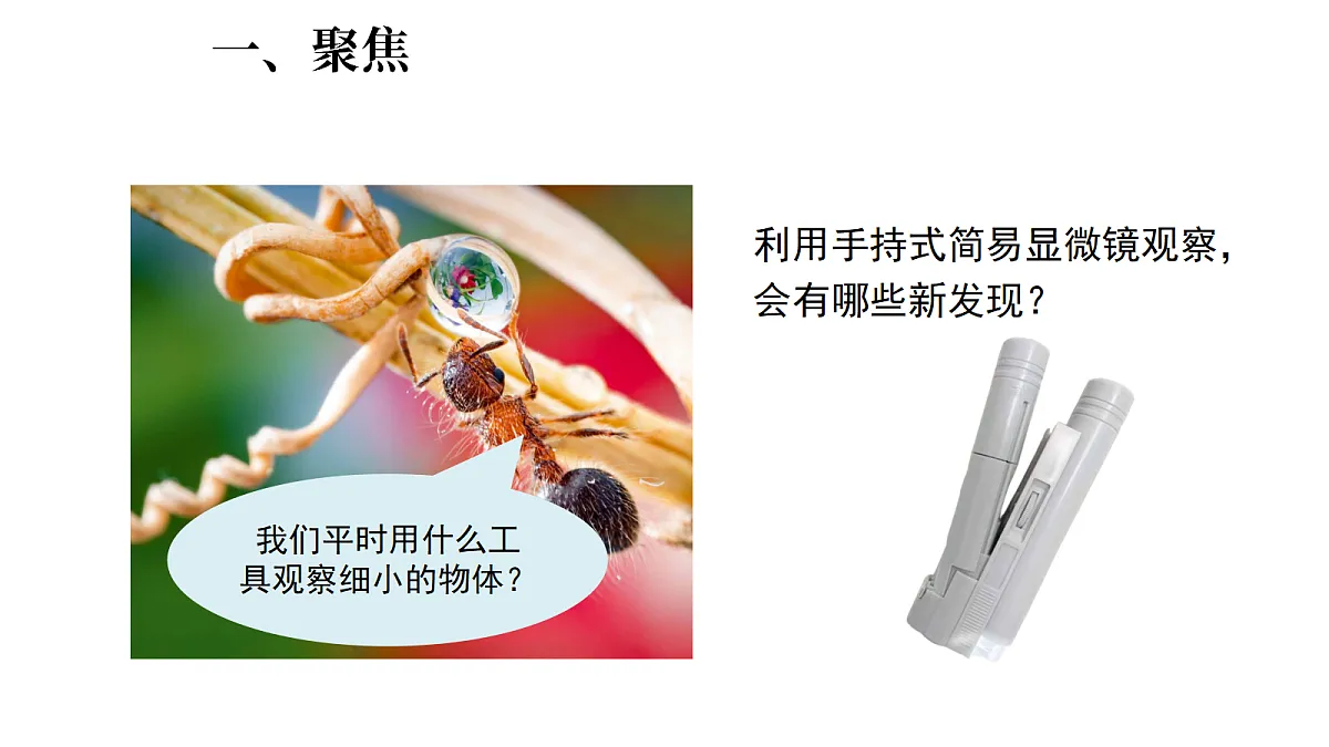 1.3《用简易显微镜观察》（课件）-2026-2027学年科学五年级上册教科版第2页