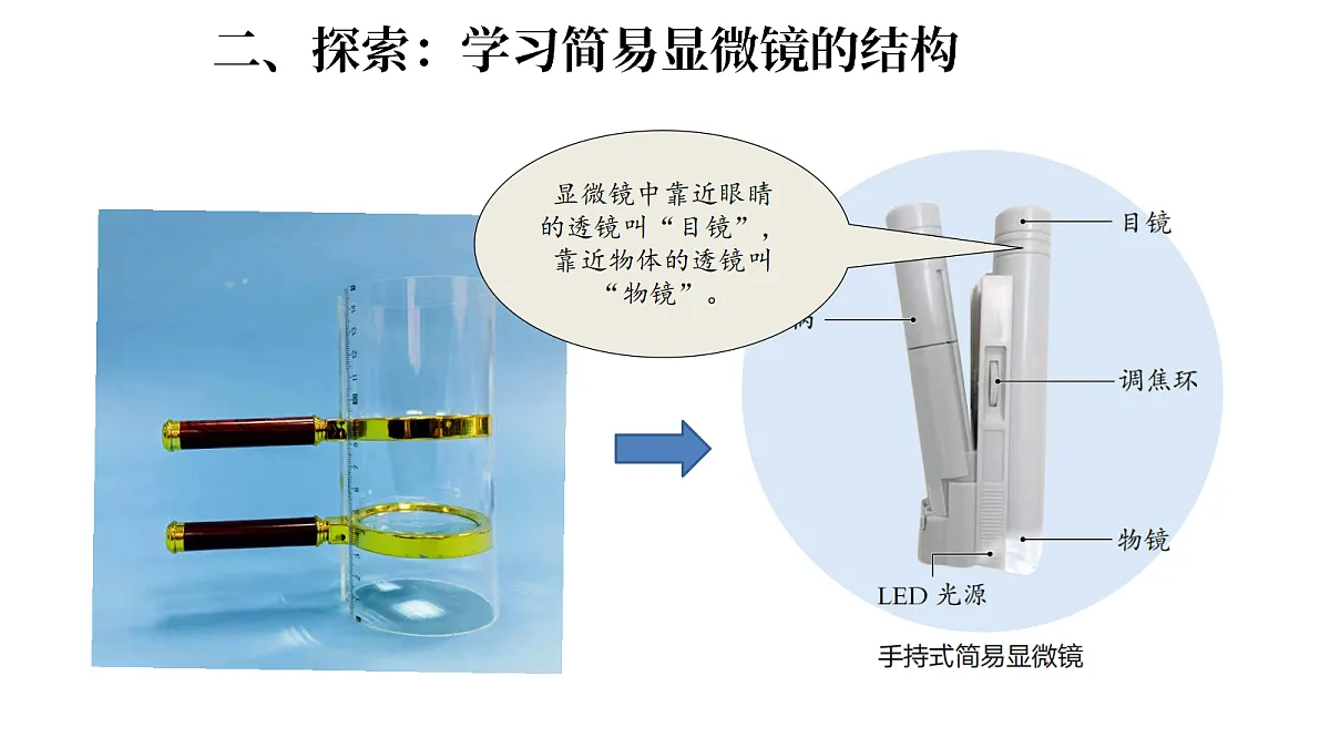 1.3《用简易显微镜观察》（课件）-2026-2027学年科学五年级上册教科版第3页