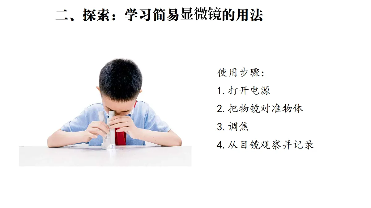 1.3《用简易显微镜观察》（课件）-2026-2027学年科学五年级上册教科版第5页