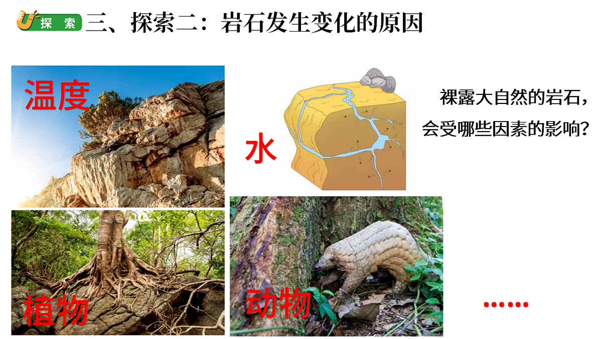 4.5《岩石的类别与变化》第4页