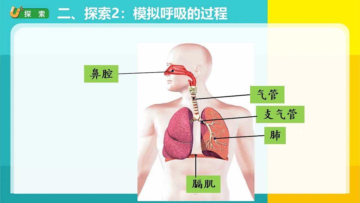 18688058第6页