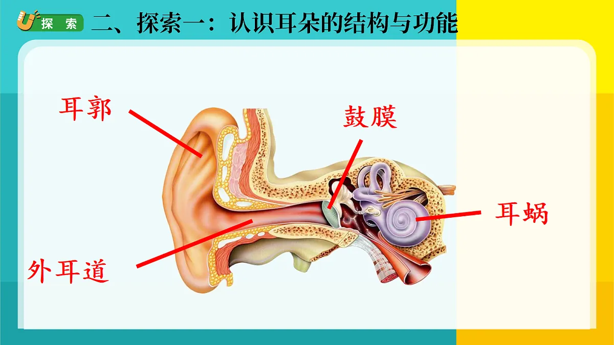 18688062第3页