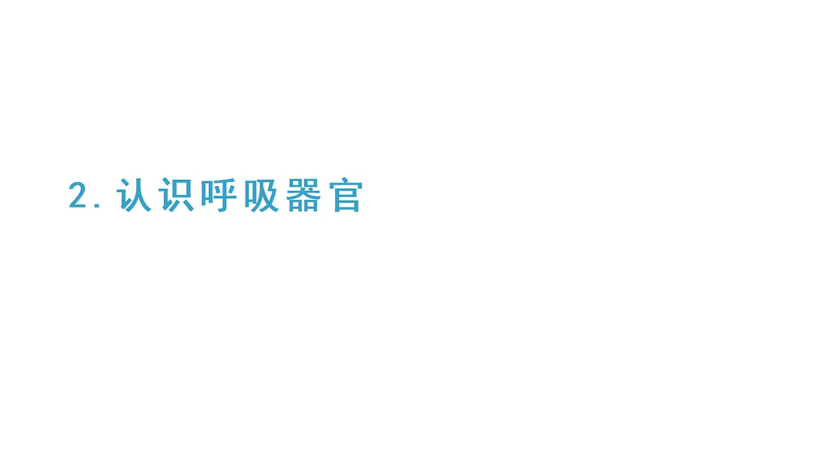 2.2《认识呼吸器官》教学课件（课件）-2026-2027学年科学四年级上册教科版第1页