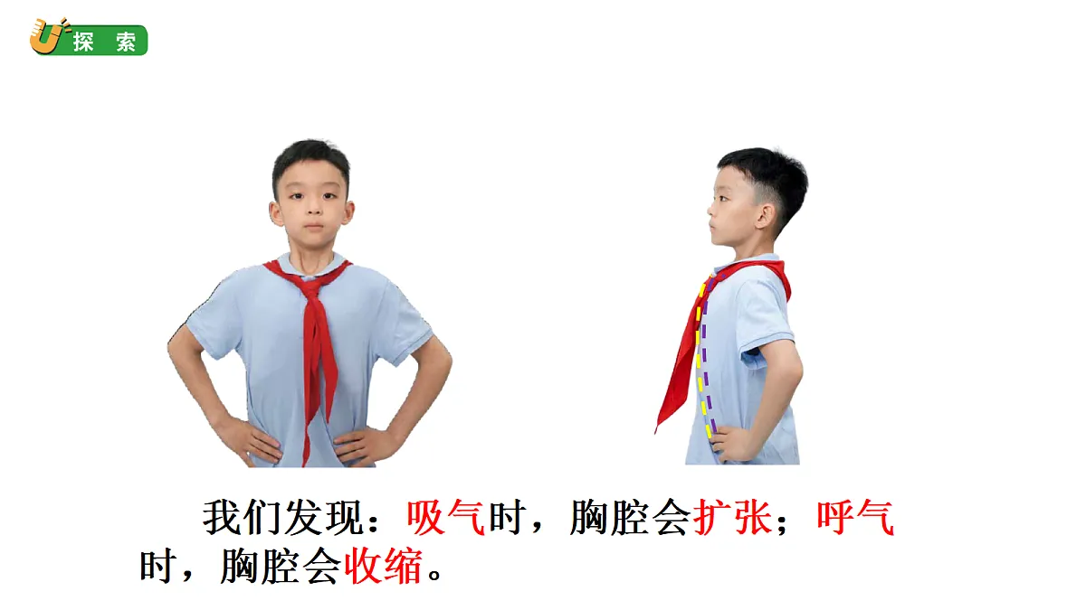 2.2《认识呼吸器官》教学课件（课件）-2026-2027学年科学四年级上册教科版第4页