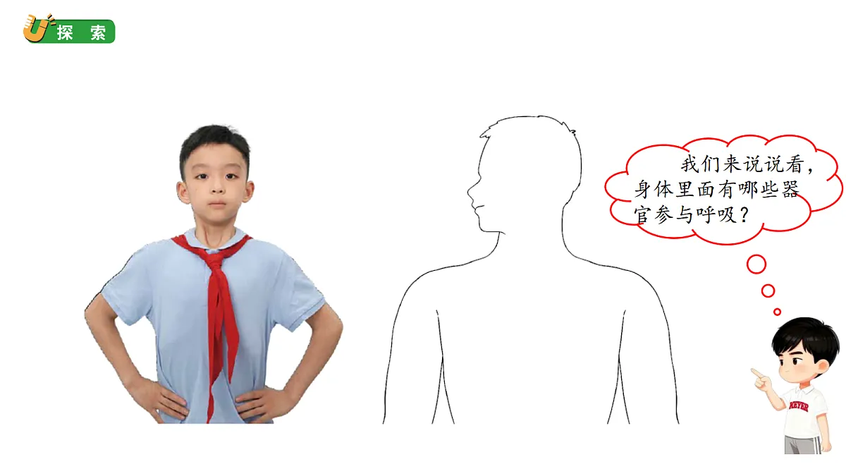 2.2《认识呼吸器官》教学课件（课件）-2026-2027学年科学四年级上册教科版第5页