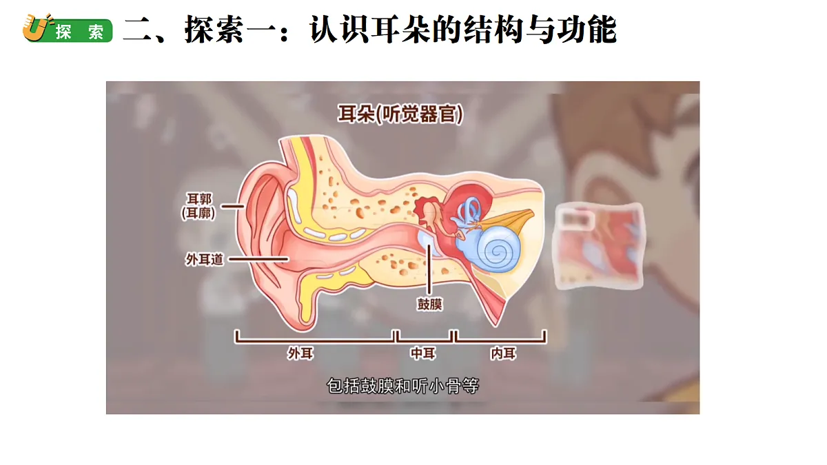 《保护听力》教学课件第5页