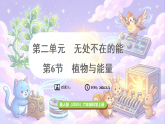 冀人版（2024）科学六年级上册 2.6 植物与能量（课件）