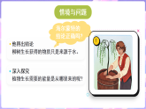 冀人版（2024）科学六年级上册 2.6 植物与能量（课件）