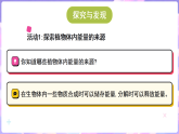 冀人版（2024）科学六年级上册 2.6 植物与能量（课件）