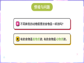 冀人版（2024）科学六年级上册 2.7动物与能量（课件）