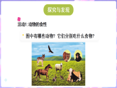 冀人版（2024）科学六年级上册 2.7动物与能量（课件）