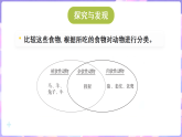 冀人版（2024）科学六年级上册 2.7动物与能量（课件）