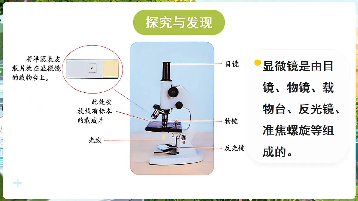 18689384第4页