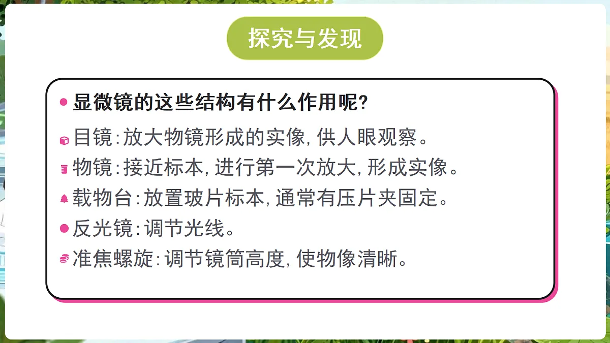 18689384第5页
