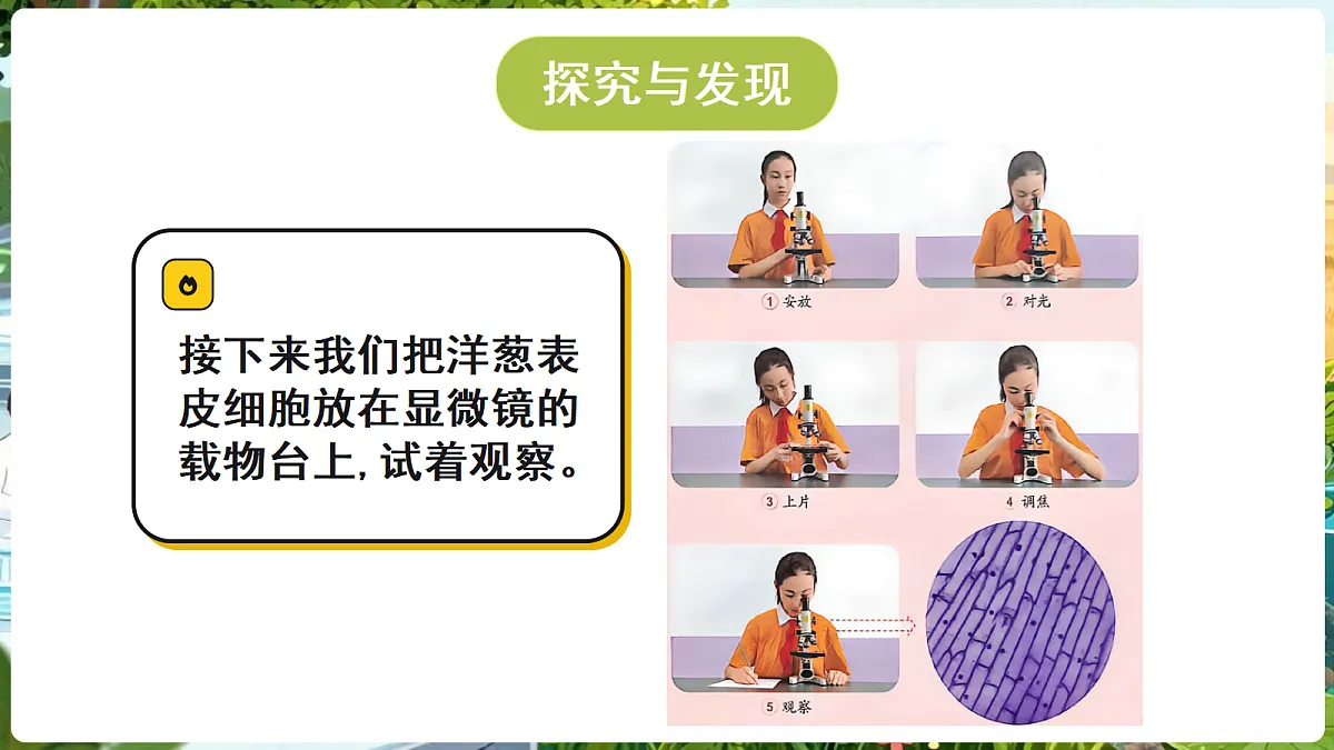 18689384第6页