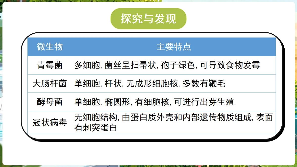 18689385第6页