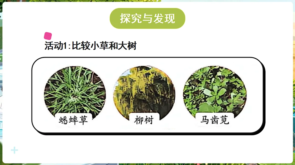 18689386第3页