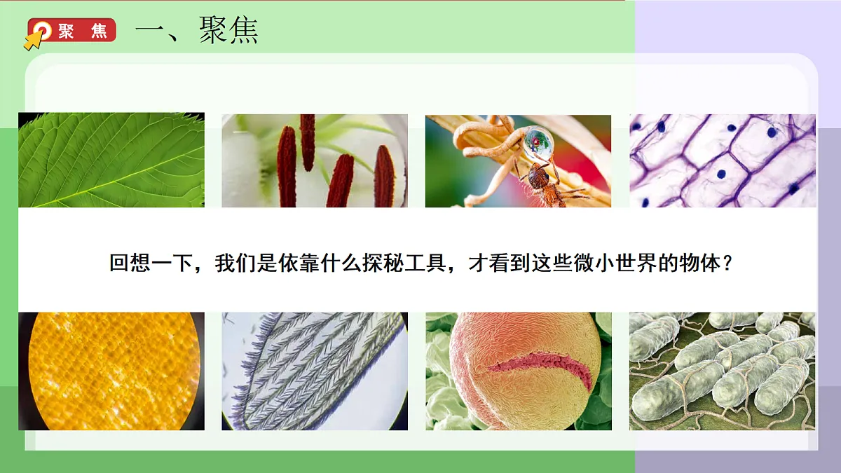 18689536第2页