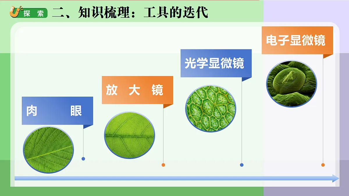 18689536第3页