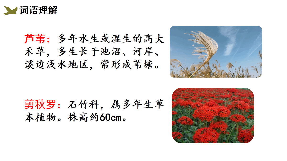 （教学课件）3＊《现代诗二首》第4页