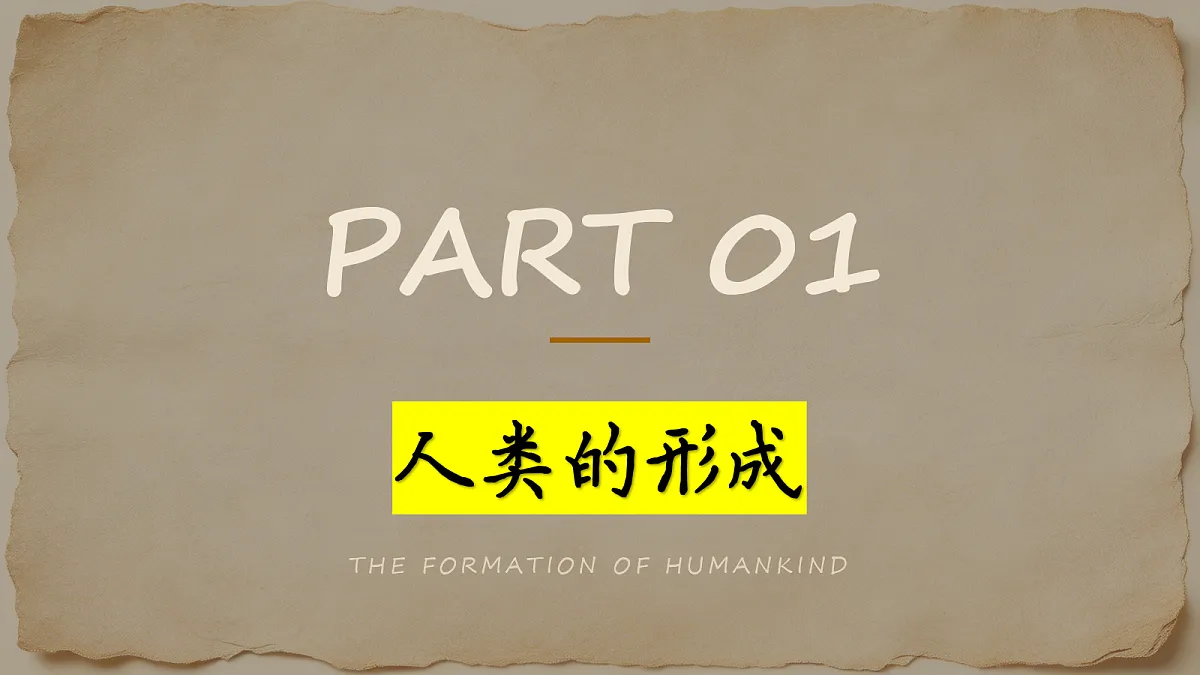 18690045第5页
