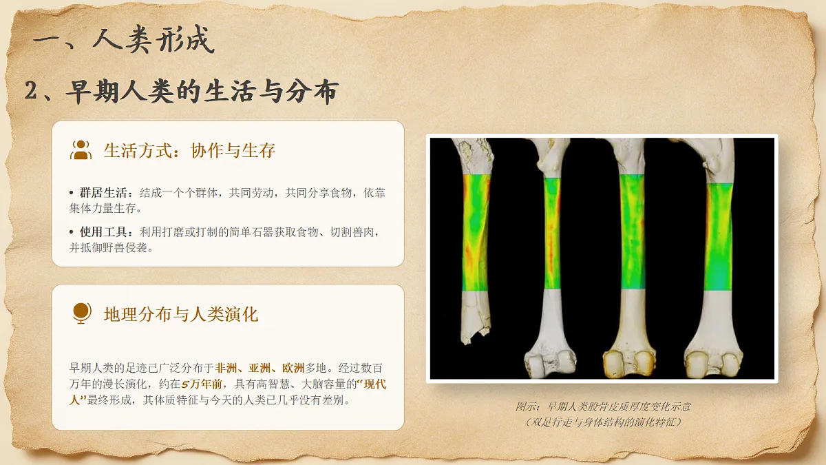 18690045第7页