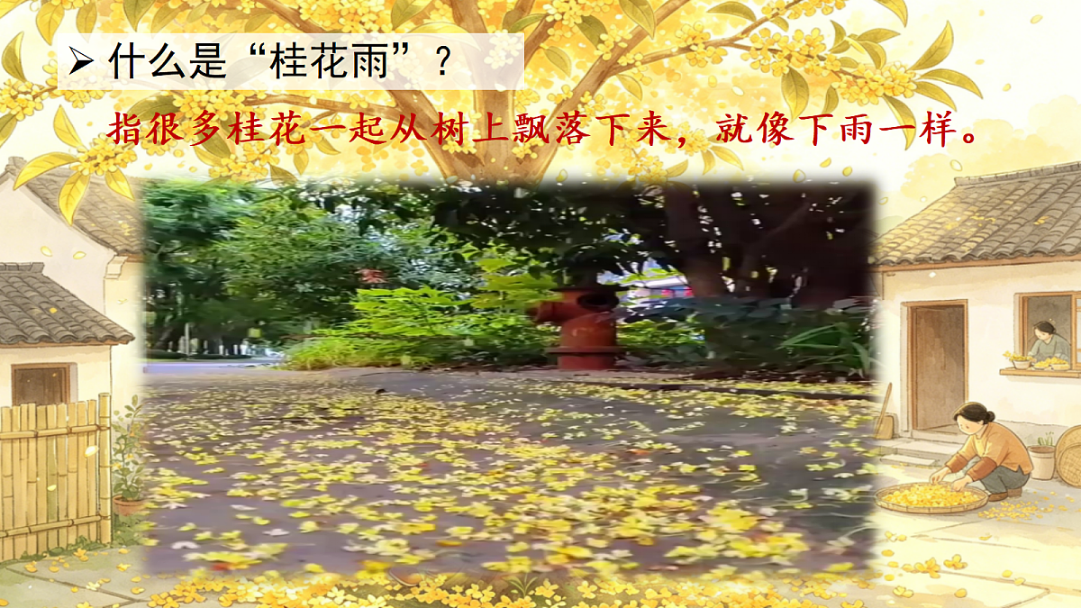 （教学课件）1.桂花雨第3页