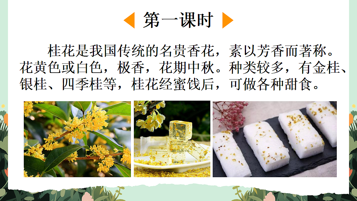 【核心素养】部编版小学语文五年级上册 1 桂花雨  课件第2页