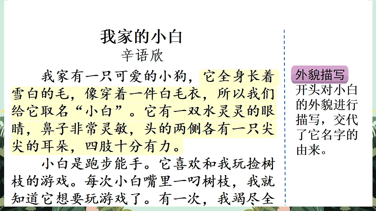 【核心素养】部编版小学语文五年级上册 习作：我的心爱之物（范文+点评+升格） 课件第8页