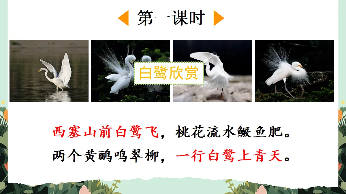 【核心素养】部编版小学语文五年级上册 22白鹭课件第2页