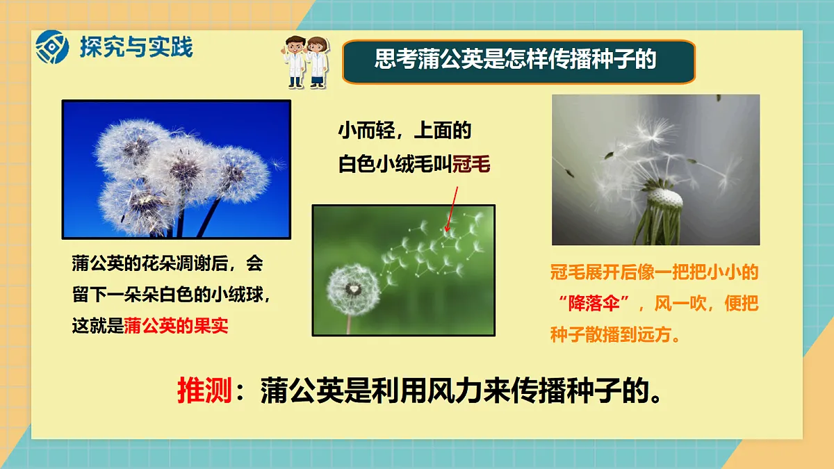 1.2《种子的传播》2026新教材第6页