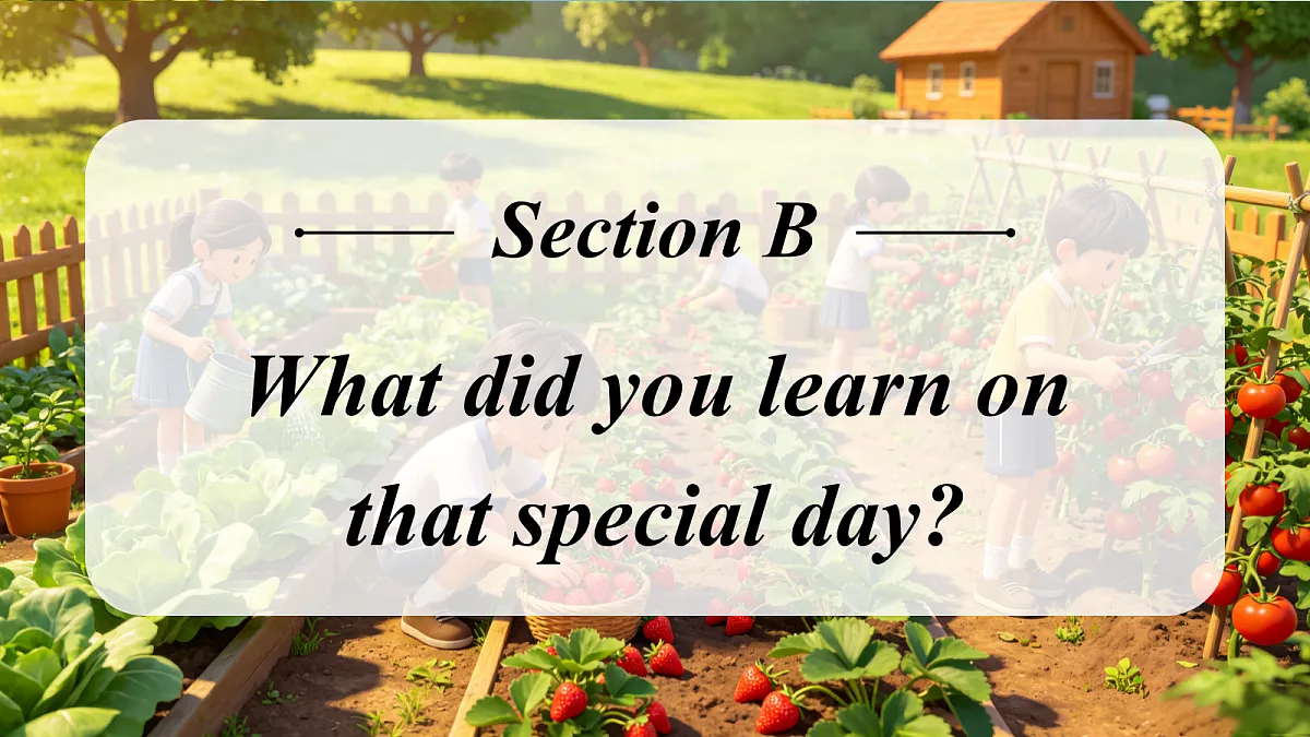 Unit 7 课时 5 Section B 1a→2b第3页