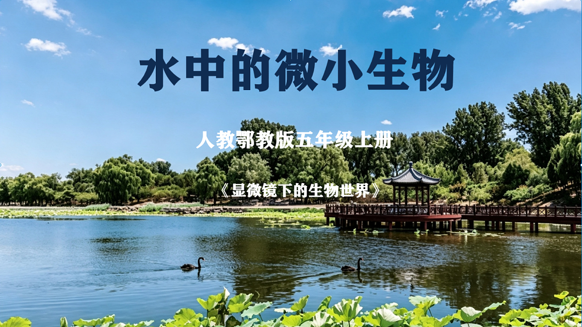 1.1《水中的微小的生物》课件+实验视频第1页