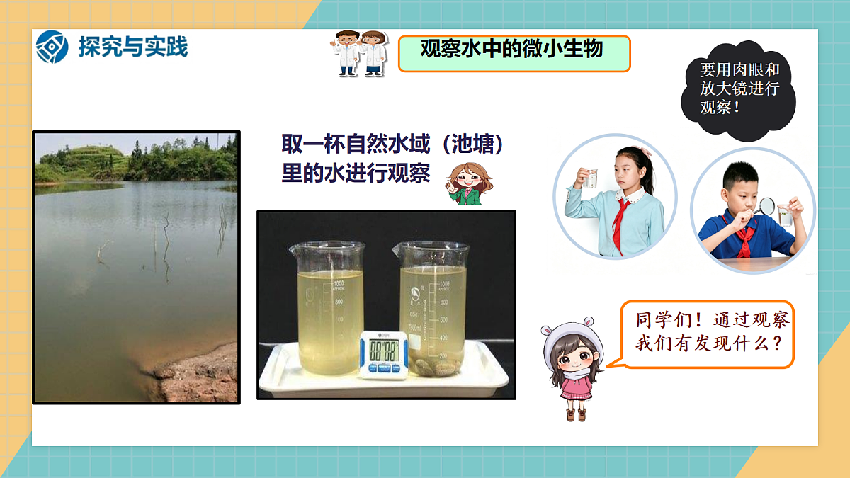 1.1《水中的微小的生物》课件+实验视频第3页